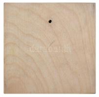 Domonkos Béla (1934-) 1981. "Nagy László 1981" Br plakett (105mm) fatalpon (138x139mm) T:2