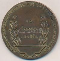 ~1930-1940. "Galamb-, Baromfi és Nyúltenyésztők Egyesülete Jászberény / Az érdem jeléül" a...