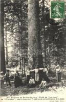 Salins-du-Jura; Forét de La Joux, Le Président, sapin mesurant 7 métres de circonférence á sa base / 7m wide giant pine tree, group picture at the trees base