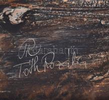 Tóth Rozália (1946-2015): Tanya a távolban. Olaj-gipsz, farost, jelzett, keretben, 80×40 cm