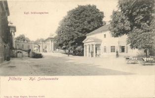 Pillnitz, Kgl. Schlossgarten / castle garden