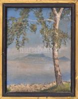 Spányi jelzéssel: Badacsony. Olaj, vászon, keretben, 20×26 cm