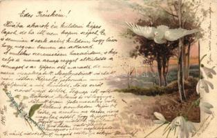 1899 Autumn forest, dove, flower, litho (EK)