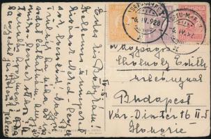 1928 Cholnoky Jenő (1870-1950) magyar földrajztudós, író és tanár saját kézzel írt képeslapja