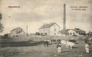 Gyulafehérvár, Johanna gőzmalom és villamos telep; Weiss Bernát kiadása / mill and power plant