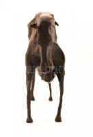 Picasso jelzéssel: Bika. Nagy szériás bronz kisplasztika, m:14 cm, h:25 cm