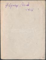 1916 Ghyczy Jenő fotó, daróczi (Felvidék) házának kertjében, verzón feliratozva, 12x9cm