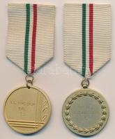 1969-1970. "Jégtánc" 2xklf bajnoki díjérem mellszalaggal (40 és 41mm) T:1-,2