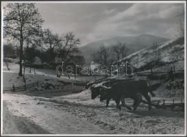 cca 1940 Valóc (Kárpátalja) vidéke, fotó, hátoldalon feliratozva. Vadas Ernő hagyatékából, 17x24 cm