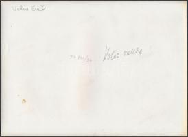 cca 1940 Valóc (Kárpátalja) vidéke, fotó, hátoldalon feliratozva. Vadas Ernő hagyatékából, 17x24 cm