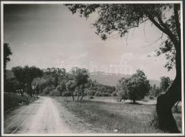 cca 1938 A gácsi vár Losonc mellett, Czvek Gyula MFI fotó verzón feliratozva és pecséttel jelzett, 17x12cm