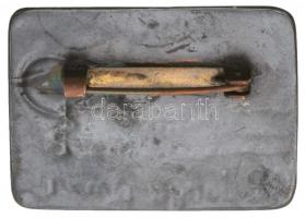 Litvánia DN "Palanga" fém jelvény borostyánnal (40,5x30mm) T:2
Lithuania ND "Palanga...