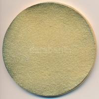 Amerikai Egyesült Államok DN "Egyetemek Közötti Atlétikai Találkozó - Minnesotai Egyetem" ...