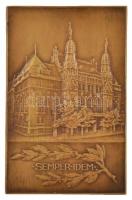 Berán Lajos (1882-1943) 1927. "Vértesaljai Vértesy Sándor Ő Nagyméltósága 10 évi államtitkárság...