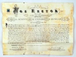 1914 K. Magyar Tudomány Egyetem jogi diploma Lenhossék Mihály  és Nagy Ferenc aláírással, viaszpecsét nélkül, pergamen, 3 koronás okmánybélyeggel felülbélyegezve, 49x66cm