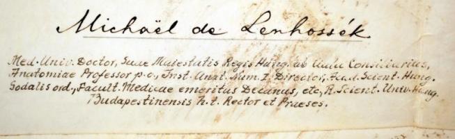 1914 K. Magyar Tudomány Egyetem jogi diploma Lenhossék Mihály  és Nagy Ferenc aláírással, viaszpecsé...