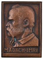 Solymári Valkó László (1909-1984) 1972. "Madách Imre" egyoldalas Br plakett (67,5x92mm) T:2 patina