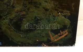 Lantos György (1957-): Hajnal. Olaj, farost, 80×60 cm