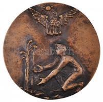 1973. "Hortobágyi Intéző Bizottság 1963-1973" kétoldalas Br plakett (107,5mm) T:2