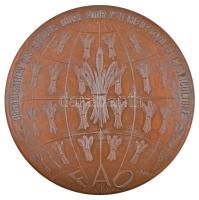 Kanada 1970. "FAO - Quebec" kétoldalas Br érem. Szign.: S.Bret (72mm) T:2
Canada 1970. &q...