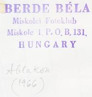 1966 Berde Béla: Ablakon, pecséttel jelzett vintage fotóművészeti alkotás, 24x18 cm