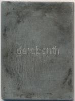 1932. "BSE" egyoldalas Ag díjplakett (42,5x58mm) T:2