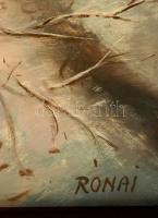 Rónai Antal (1926- ): Téli folyópart. Olaj, farost, jelzett, keretben, 40×70 cm