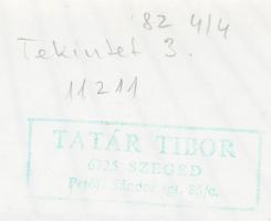 cca 1982 Tatár Tibor: Tekintet, pecséttel jelzett vintage fotóművészeti alkotás, 23x17 cm