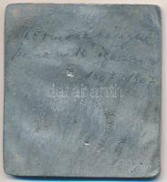 Reisner József (1859-1929) 1912. "Reitzner Miksa 1867-1907" egyoldalas fém plakett (51x56,...