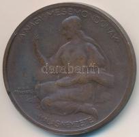 Berán Lajos (1882-1943) 1925. "Jókai Mór / A nagy mesemondónak hálás nemzete - Magyer Királyi P...