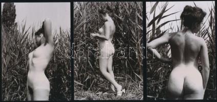 cca 1970 Elbújva a nádasokban, 9 db finoman erotikus vintage fotó, 13x9 cm / 9 erotic photos, 13x9 cm