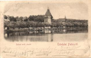 1899 Palics, Palic; Erdőrészlet, kiadja Willheim Samu / forest detail