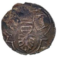 1440. Denár Ag "V. László, mint trónigénylő" (0,46g) T:3 patina, ki., ph.
Huszár: 643., U...