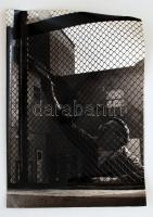 cca 1955 Tomori Ede: Kerítés festő, pecséttel jelzett vintage fotóművészeti alkotás, 39x28 cm