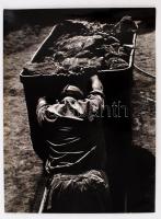 cca 1975 Gebhardt György (1910-1993): Csillés, feliratozott vintage fotóművészeti alkotás, 39x29 cm