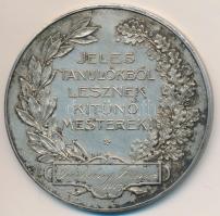 Löfkovits Arthur (1863-1935) 1914. "A Debreczeni Kereskedelmi és Iparkamara kitüntető érme / Je...