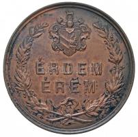 1876. "Országos Ipar-, Termény- és Állat Kiállítás Szegeden" Br emlékérem. "AZ 1876 É...