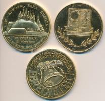 Lebó Ferenc (1960-) 1992. "Európában, Európáért / Magyarország - Sevilla Expo 1992" aranyo...