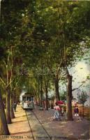 Venice, Lido-Venezia; Viale riservato al Tramway / tram, avenue (EB)