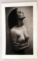 cca 1982 Akt, jelzés nélküli vintage fotóművészeti alkotás, 37x23 cm /  erotic photo, 37x23 cm
