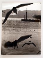 cca 1972 Kaszap István: Őszi Balaton, feliratozott vintage fotóművészeti alkotás, 40x30 cm