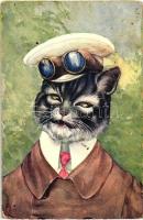 Cat pilot, B.K.W.I. 392-2. (EK)