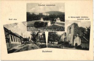 Budakeszi, Erdő utca, Erzsébet szanatórium, Máriamakki trinitárius templom romjai