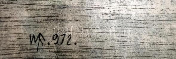 WF jelzéssel: Vitorlások. Hidegtű, papír, üvegezett keretben, 20×28 cm