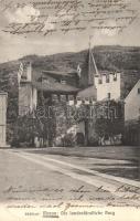 Merano, Meran (Tirol); Die landesfürstliche Burg / castle