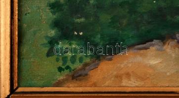 Olvashatatlan jelzéssel: Hazafelé. Olaj, vászon, keretben, 26×36 cm