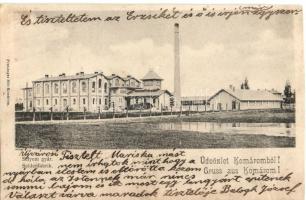 Komárom, Selyemgyár; kiadja Freisinger Mór / silk factory (levágott, restaurált / cut)