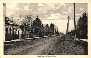 Tőketerebes, Trebisov; Fő utca, Vendéglő, Kávéház, Szlovák ház / Hlavna ulica, Slovensky Dom / main street, guest house, cafe, Slovakian house (EK)