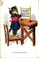 A számolóművész / cat in school uniform, W.S.S.B. 8541/1. (EK)