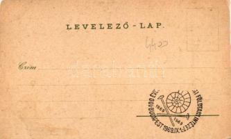 Rózsahegy, Ruzomberok, Liptó-Rosenberg; Likava vár, Magyar Textilgyár, Ribárpole / castle, textile f...